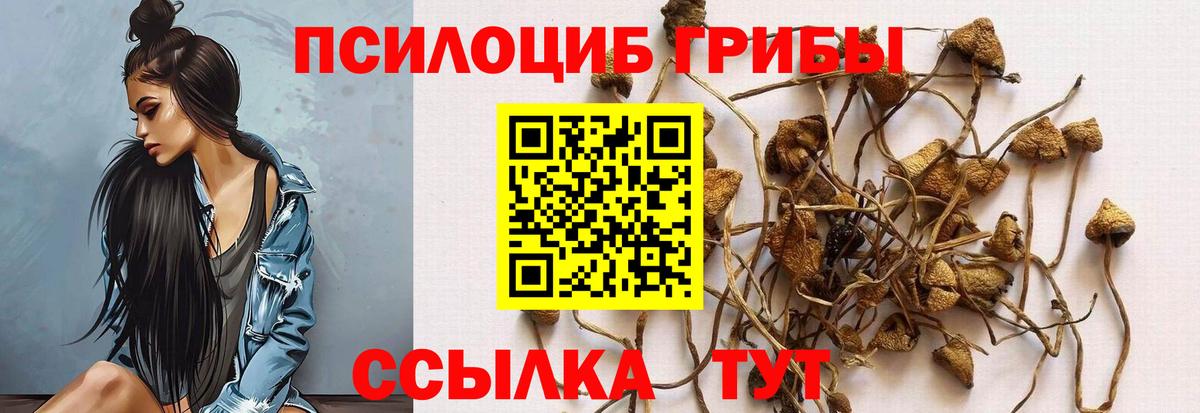 Пушкино  как найти наркотики  Вход с VPN  Галлюциногенные грибы прущие грибы 